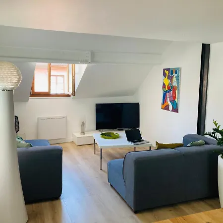 Appartement A 200m Du Lac, Au Coeur De La Vieille Avec Parking Annecy